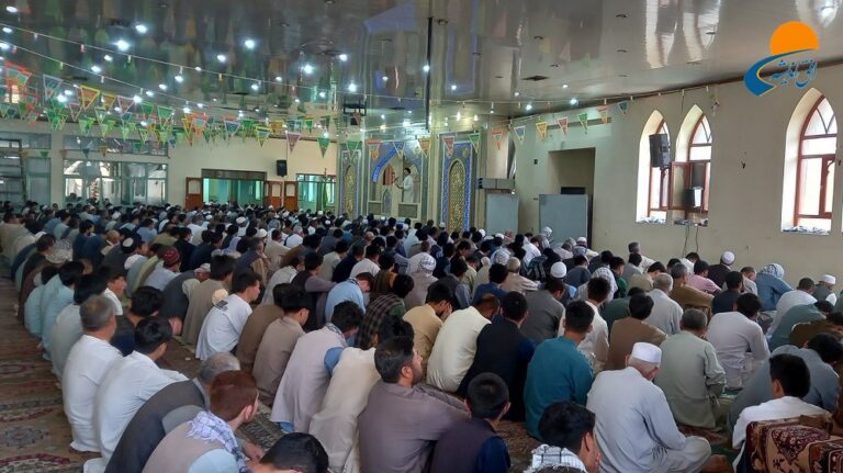 حجت الاسلام والمسلمین سید حیدر هاشمی
