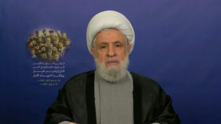 شیخ نعیم قاسم