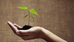 ارزش هاي مقدمي