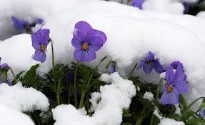 چگونه عزيز باشيم