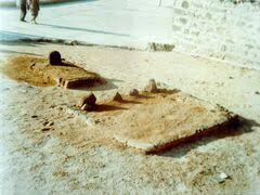 سمای شیعیان ۷